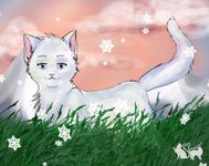 Frostfur Frostfur