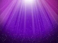 purple purple