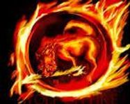 Fire wolf Fire wolf
