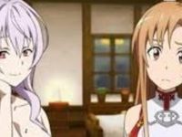 Never played the SAO games Never played the SAO games