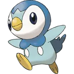 Piplup Piplup