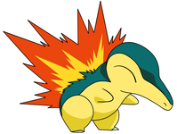 Cyndaquil Cyndaquil