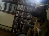Kaylee