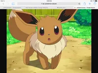 Pokemon Pokemon