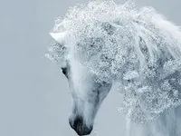 Change it to a horse Change it to a horse