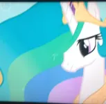 16+Princess or Prince 16+Princess or Prince