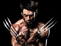 Wolverine Wolverine