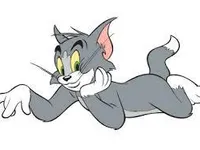 tom tom