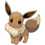 Eevee Eevee