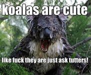 Koala.The.Bear.Of.DEATH! New stuff is good stuff, (Thanks Angelic.Pheonix for the suggestion) Koala.The.Bear.Of.DEATH! New stuff is good stuff, (Thanks Angelic.Pheonix for the suggestion)