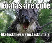 Koala.The.Bear.Of.DEATH! New stuff is good stuff, (Thanks Angelic.Pheonix for the suggestion) Koala.The.Bear.Of.DEATH! New stuff is good stuff, (Thanks Angelic.Pheonix for the suggestion)