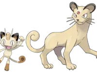 Meowth/Persian Meowth/Persian