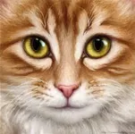 Flamepaw (Funny, good at fighting)