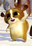 Cute Lema (Madagascar) Cute Lema (Madagascar)