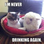 Cat (big cats count) Cat (big cats count)