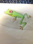 Frog Frog