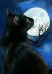 my wallpaper