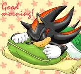 Wake up at 5:00 am in the morning Wake up at 5:00 am in the morning