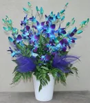 Blue Orchid