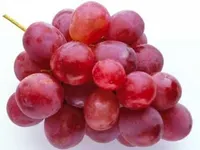 Red grapes Red grapes