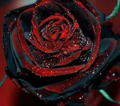 One