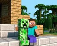 steve and creeper