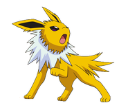 Jolteon Jolteon