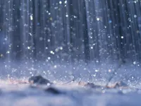 Rainy Days