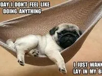 Zzz