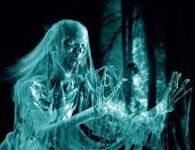 Ghosts Ghosts