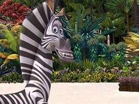 Marty the zebra (Madagascar) Marty the zebra (Madagascar)