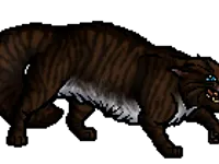 Hawkfrost