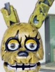 Springtrap Springtrap