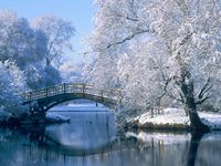 Winter Winter