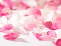 pink pink