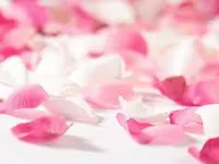 pink pink