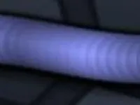 skin 24