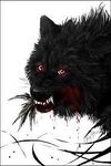 Werewolves Werewolves