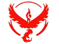 Team Valor