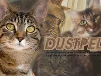 Dustpelt