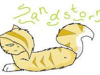 Sandstorm Sandstorm