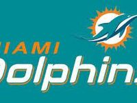 The miami dolphins The miami dolphins