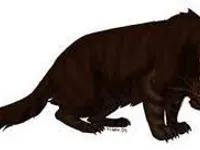 Brokentail Brokentail