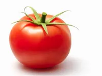 tomato ?