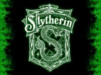 Slytherin (my personal favorite) Slytherin (my personal favorite)