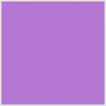 Purple Purple