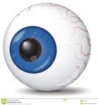 Eyeball Eyeball