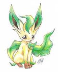 Leafeon Leafeon