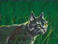 Greystripe