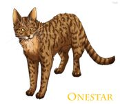 Onestar Onestar